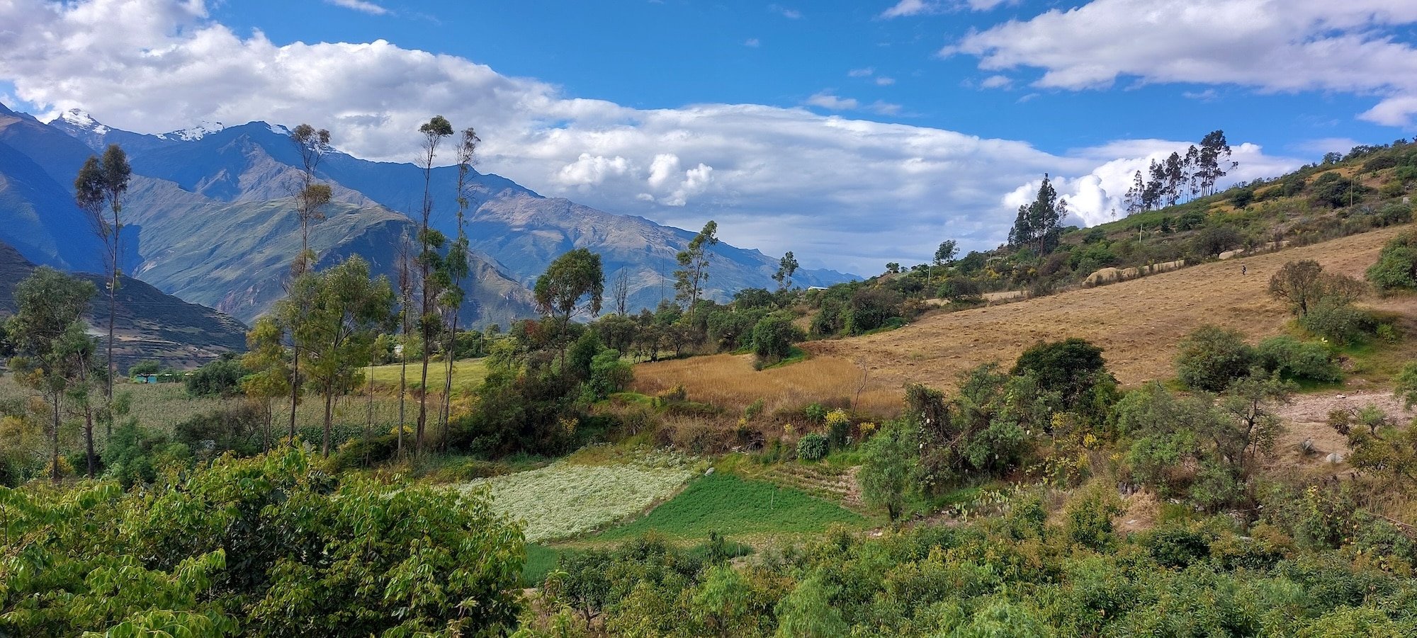 Rural scene