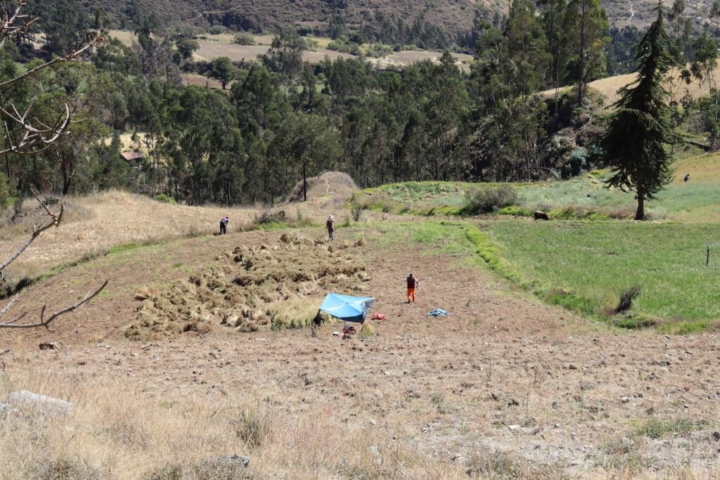 Farmers in a field